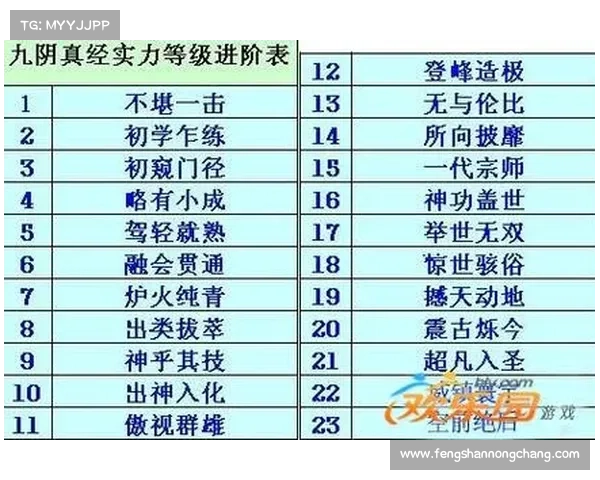 九阴真经装备打造全攻略精细解析提升战力的必备技巧与方案 九阴真经装备打造全攻略精细解析提升战力的必备技巧与方案
