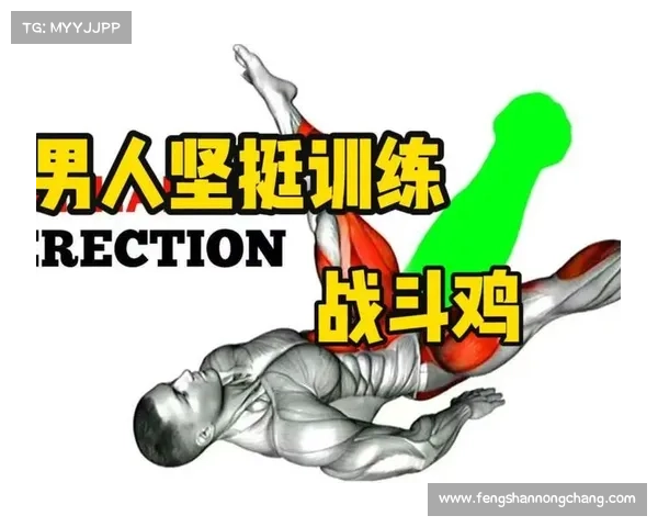 五个关键训练要点助力蛙跳灵活性提升的有效方法