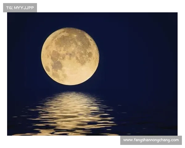 月光映照心灵的深渊：重拾失落记忆与灵魂的觉醒之旅