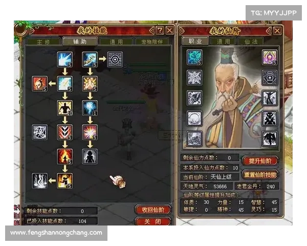 宠物加点攻略：提升战斗技能的关键