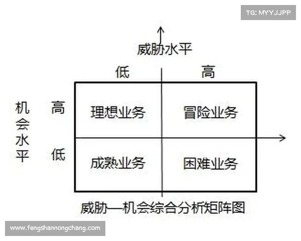 从伤病阴影到重拾锋线信心希季尔逆境突围的应对策略分析