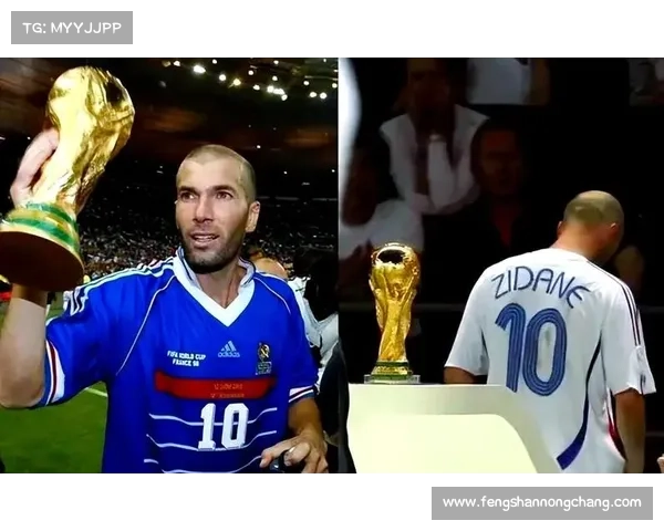 从技术艺术与荣誉三方面全面解析齐达内职业生涯的真正巅峰时刻