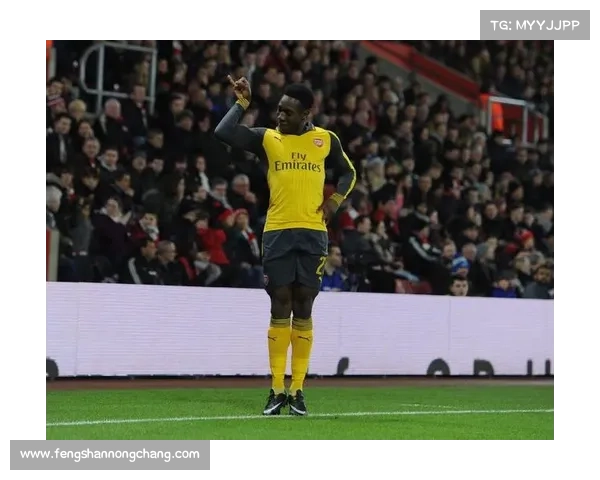 从维尔贝克到黑贝绰号形成背后的文化与性格象征解析