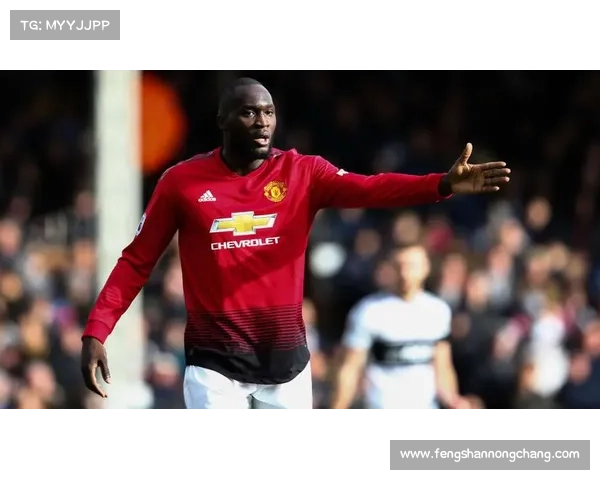 卢卡库转会曼联的五大关键因素分析及背后原因揭秘