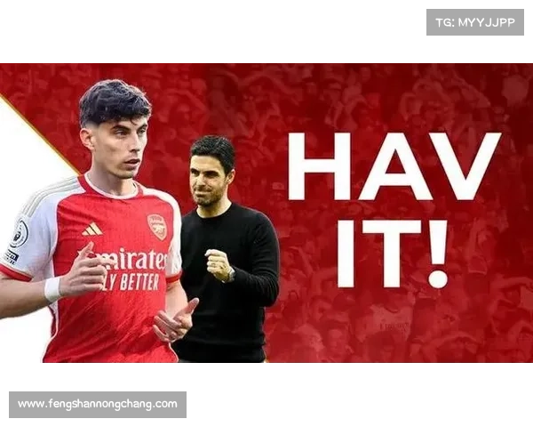 哈弗茨点球无效的五大关键因素解析