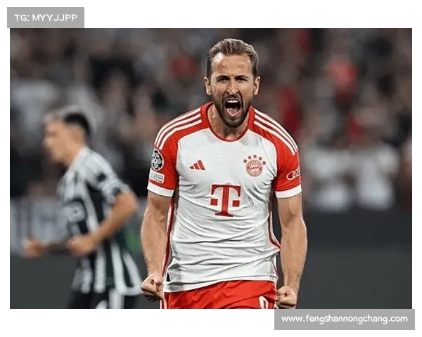 哈里凯恩成功背后的五大关键因素解析与启示