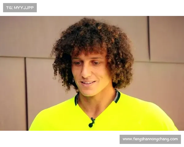 大卫路易斯四大球场职责揭秘 深入解析其多面角色与贡献