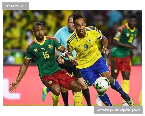 奥巴梅扬拒绝法国队背后的五个关键原因揭秘