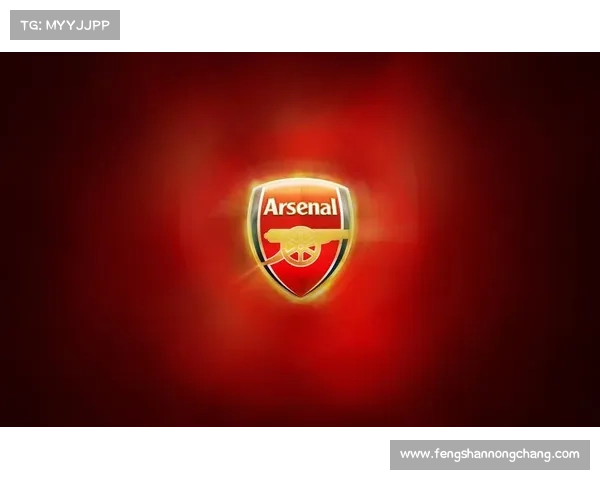 从阿森纳队徽视觉符号看其在全球足球文化中的深远影响力与品牌价值