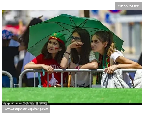 全面盘点葡萄牙各大著名球队名称一览及背景深度指南全面解析篇章